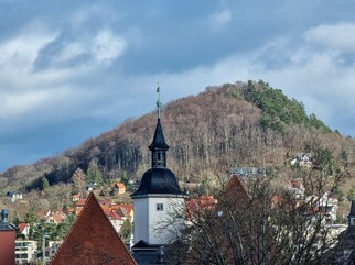 2021-03-15 16.03.00-1.jpg