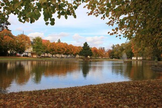 IMG_1833.JPG