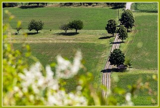 IMG_1954-1.jpg