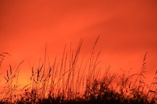 IMG_3304.JPG