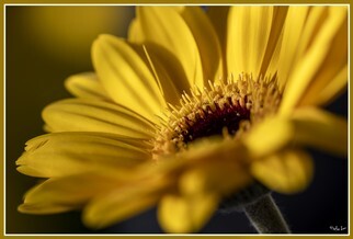 IMG_6068-2.jpg