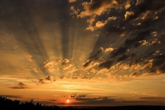 20210704-IMG_3845-2.jpg