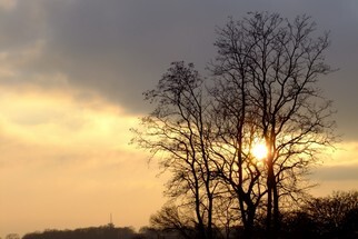DSCF1742-2.jpg