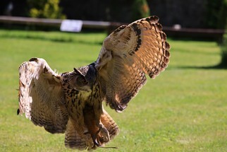 IMG_2991.JPG