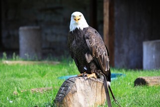 IMG_3073.JPG