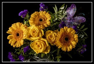 IMG_3156-3rawram.jpg