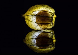 IMG_3510-fertigoramen.jpg